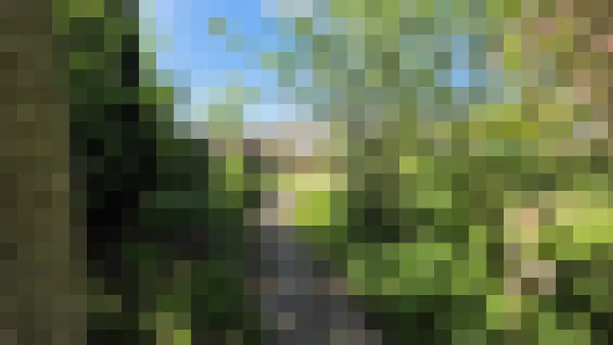 Abdijlaan 7 Uden thumbnail 5