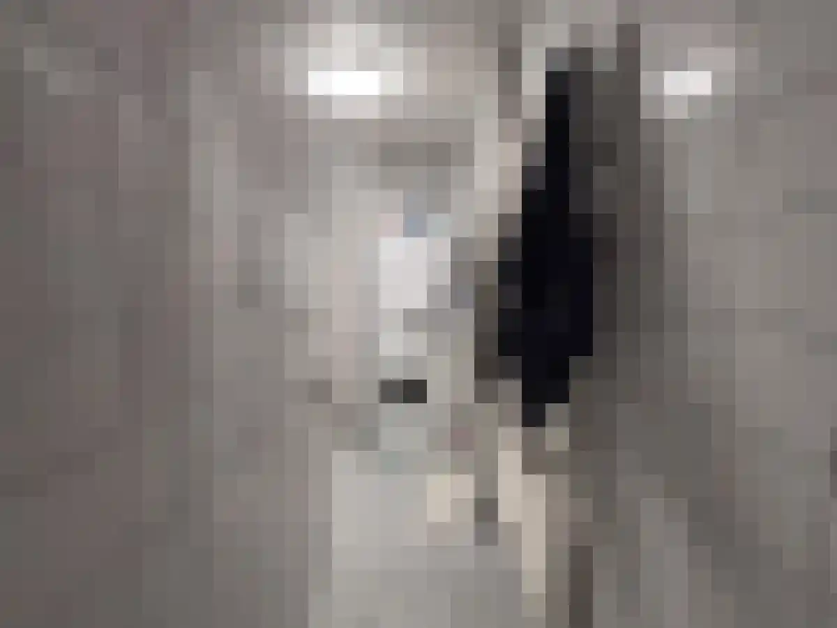 Abdijlaan 7 Uden thumbnail 6