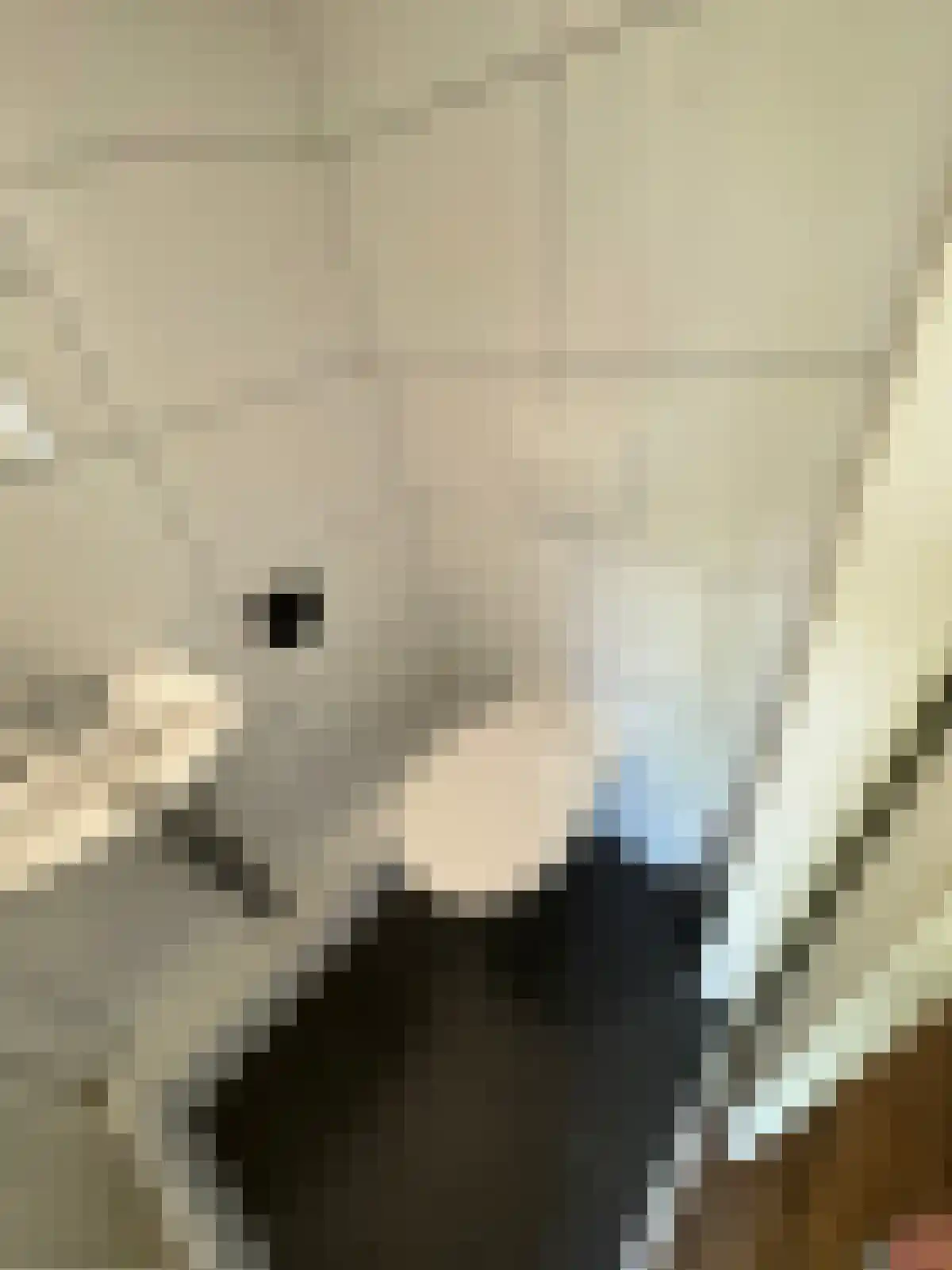 Abdijlaan 7 Uden thumbnail 6