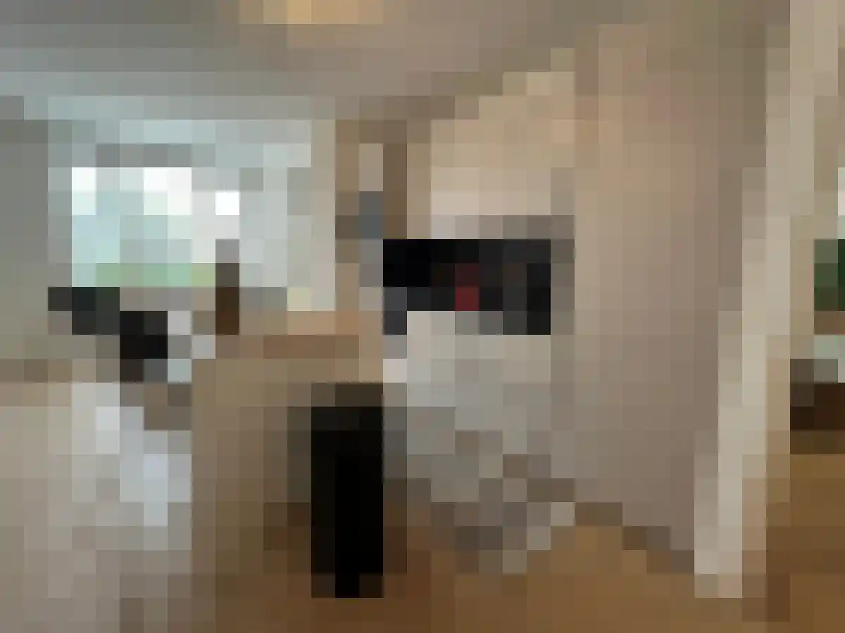 Abdijlaan 7 Uden thumbnail 6