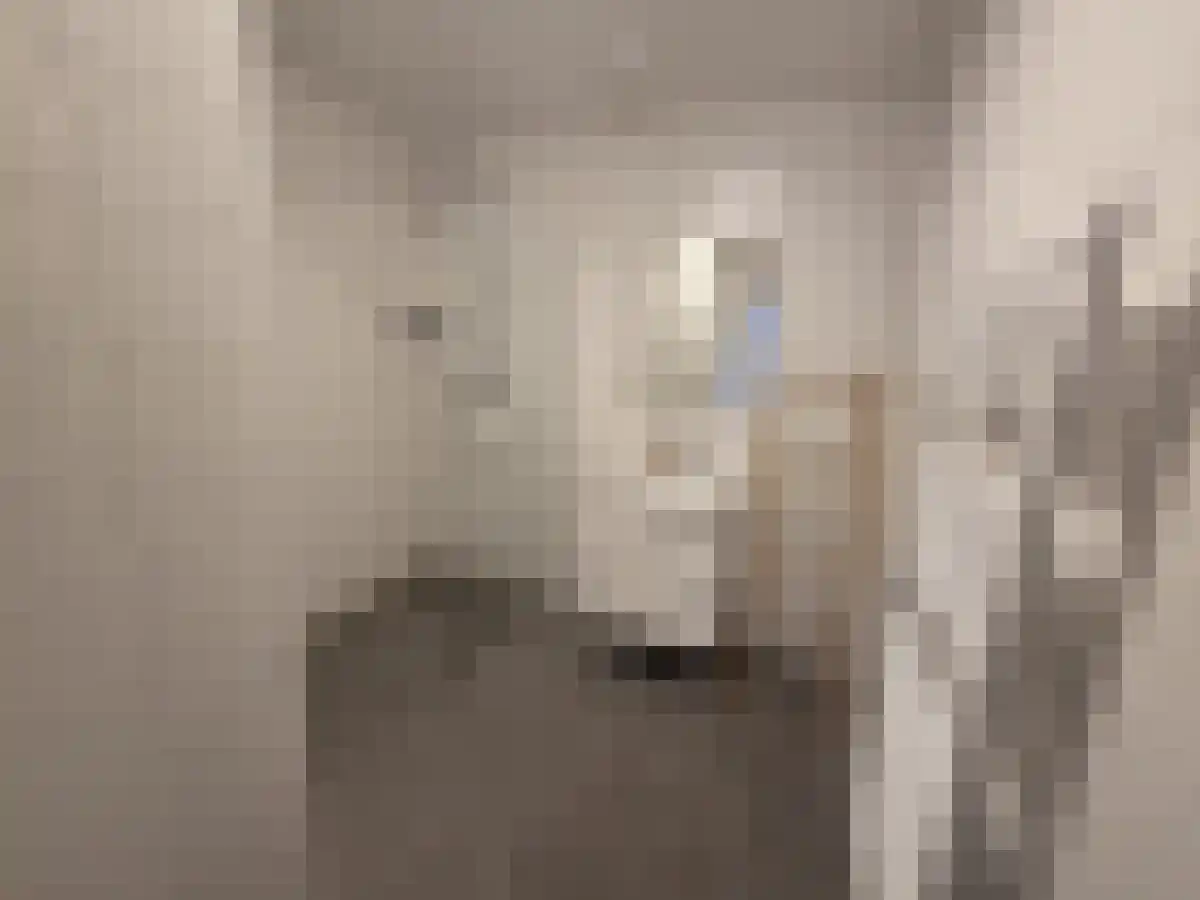 Abdijlaan 72 Uden thumbnail 6