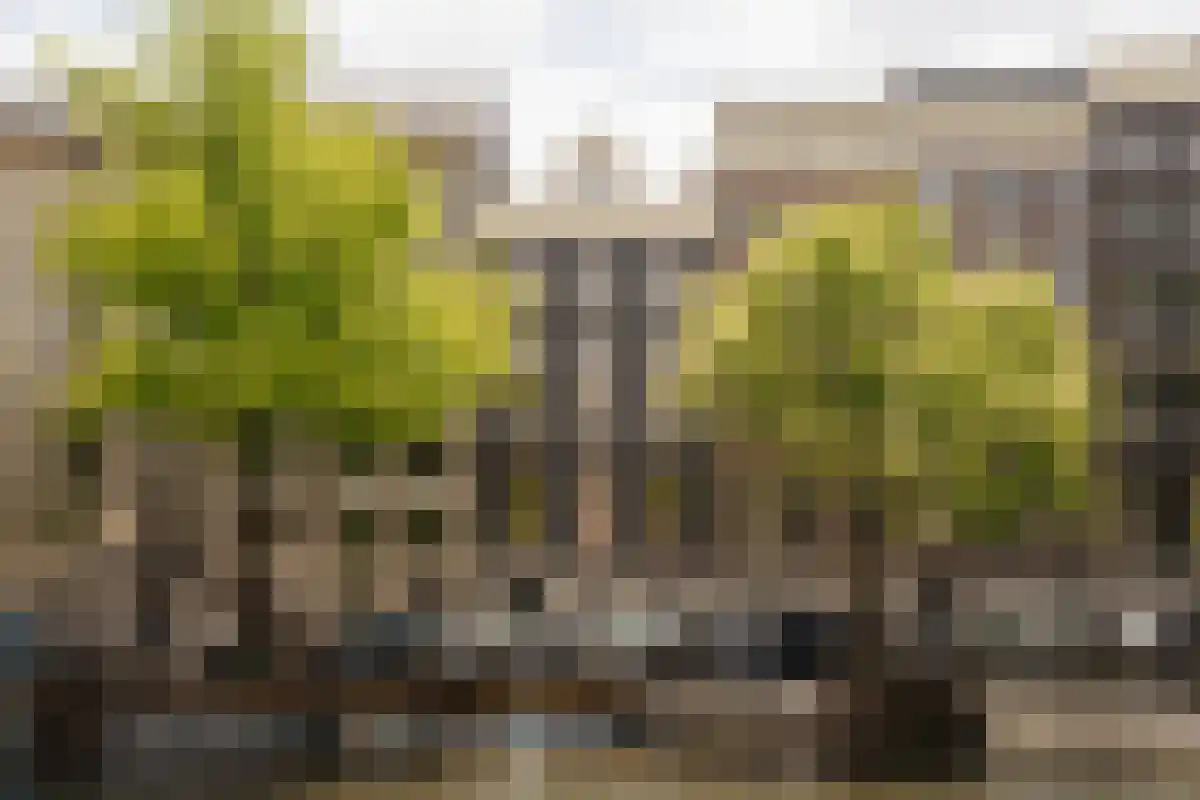 Abdijlaan 728 B Uden foto 3