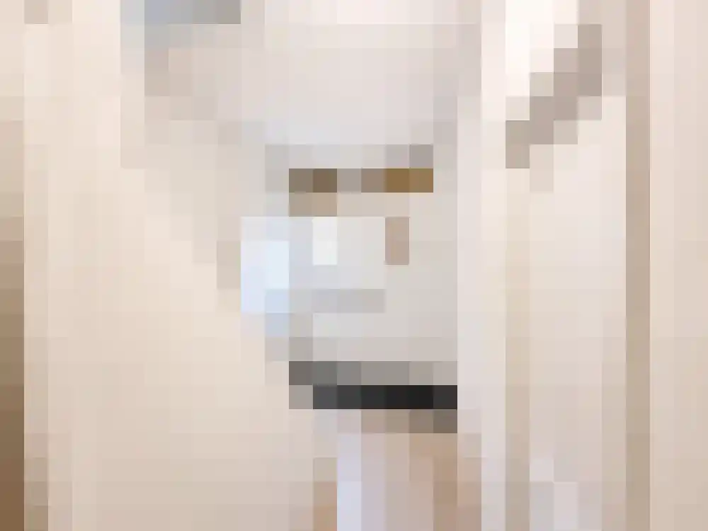 Abdijlaan 73 Uden thumbnail 10