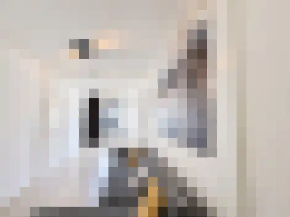 Abdijlaan 73 Uden thumbnail 13