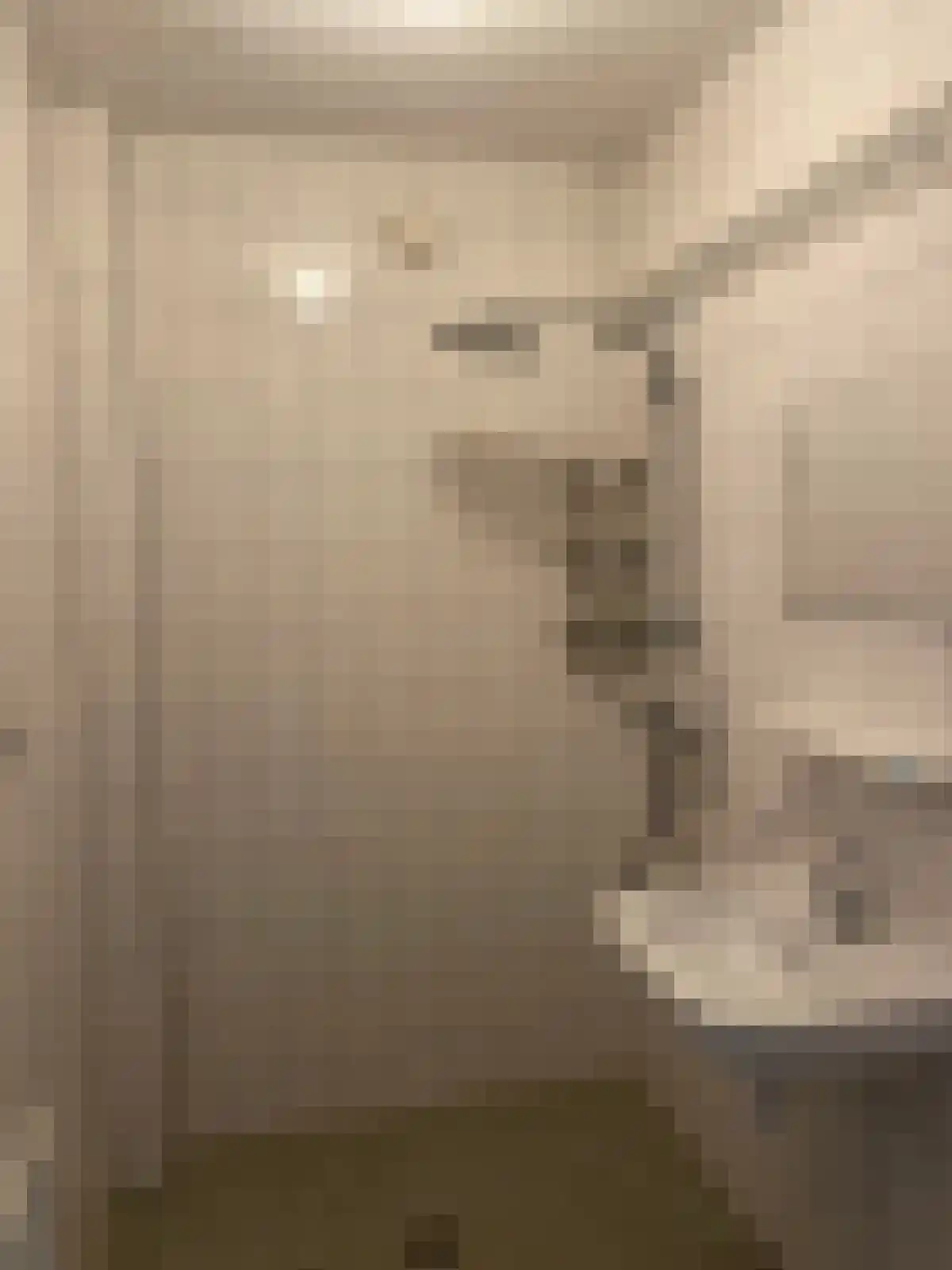 Abdijlaan 73 Uden thumbnail 6