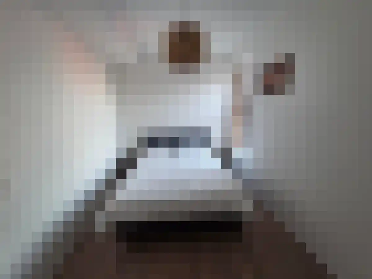 Abdijlaan 73 Uden thumbnail 6