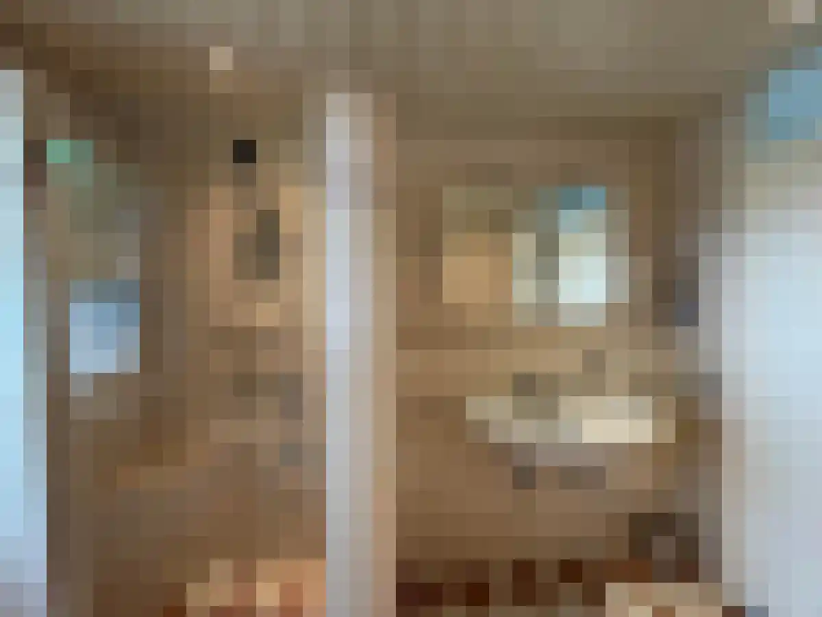 Abdijlaan 74 Uden thumbnail 4