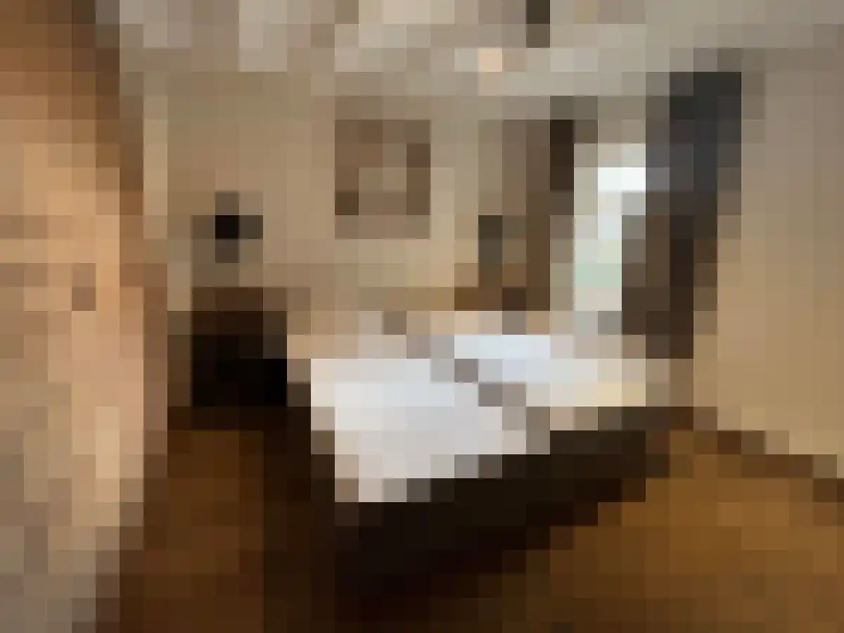Abdijlaan 74 Uden thumbnail 5