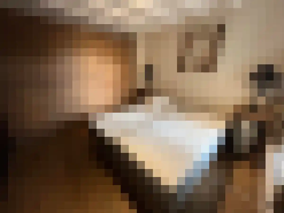 Abdijlaan 74 Uden thumbnail 6