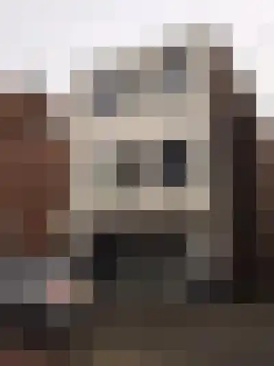Abdijlaan 75 1 Uden thumbnail 33