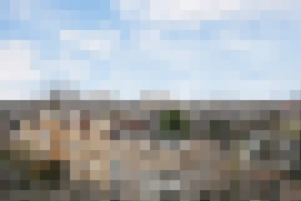 Abdijlaan 75 A Uden thumbnail 5