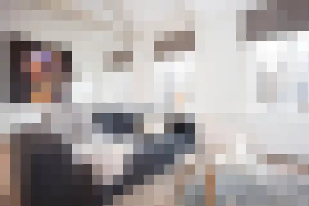 Abdijlaan 75 B Uden foto 3