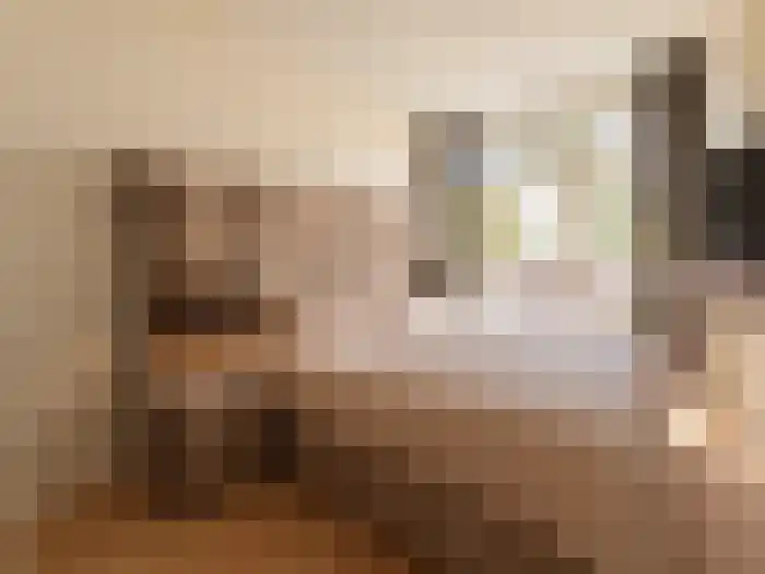 Abdijlaan 75 Uden thumbnail 10