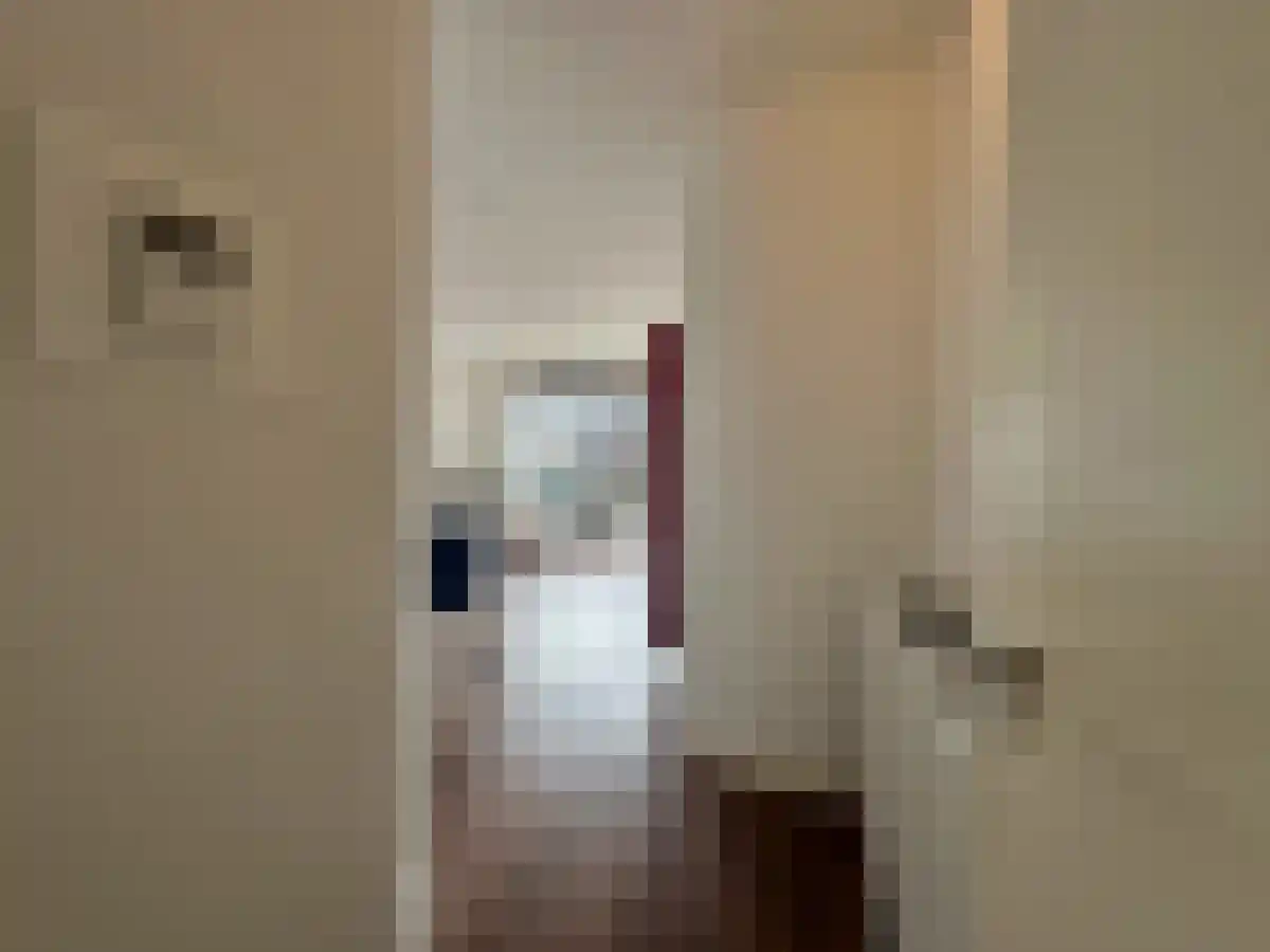 Abdijlaan 75 Uden thumbnail 4