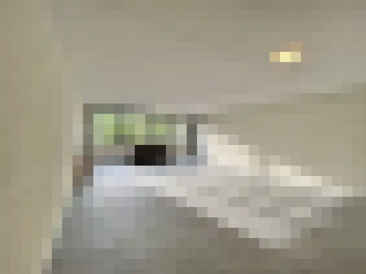 Abdijlaan 75 Uden thumbnail 4