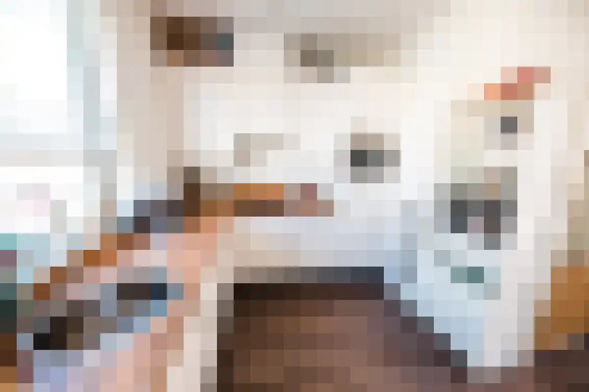 Abdijlaan 75 Uden thumbnail 4