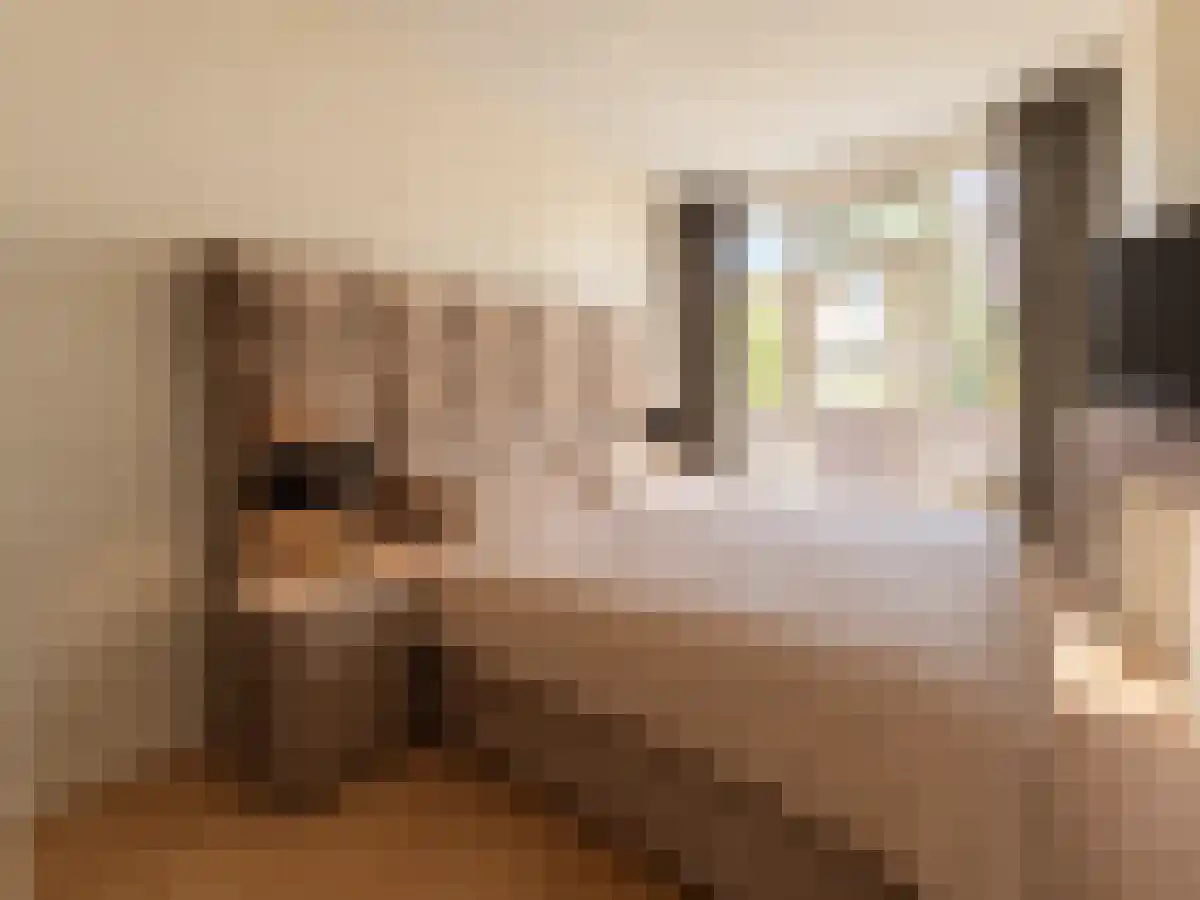 Abdijlaan 75 Uden thumbnail 4