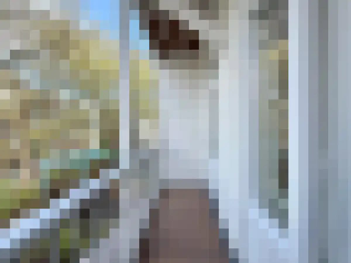 Abdijlaan 75 Uden thumbnail 5