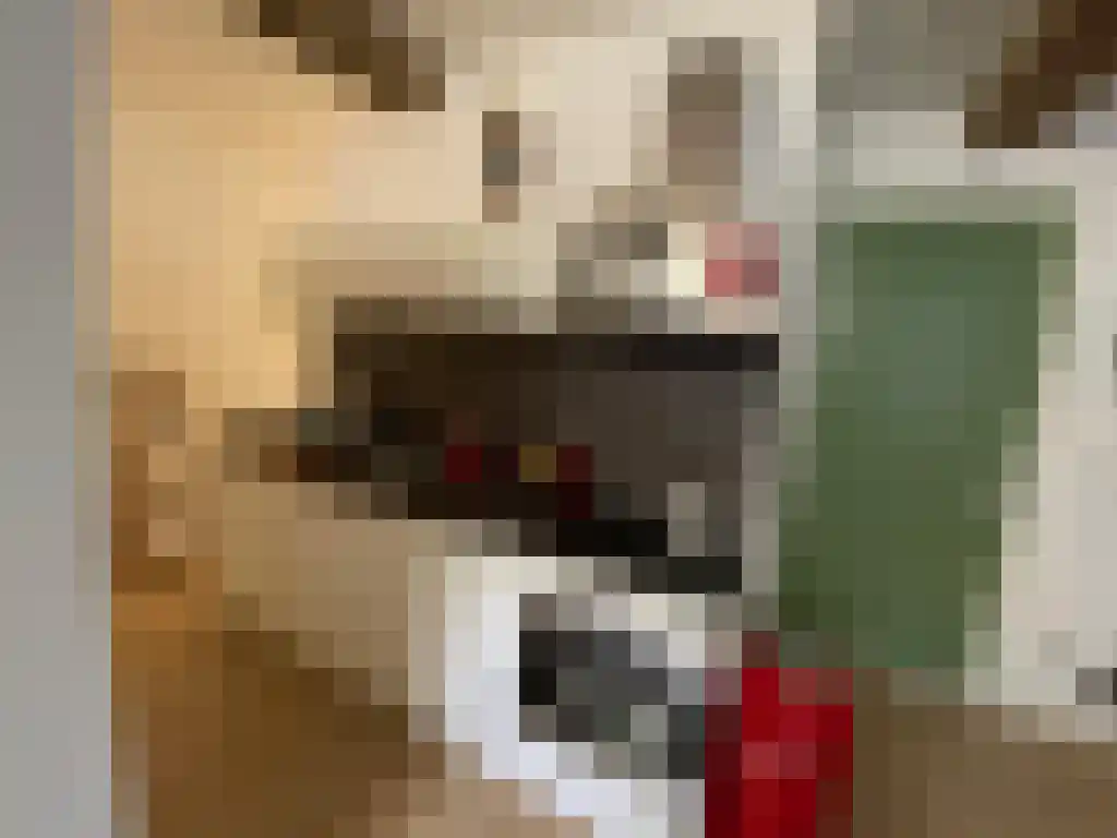 Abdijlaan 76 A Uden foto 3