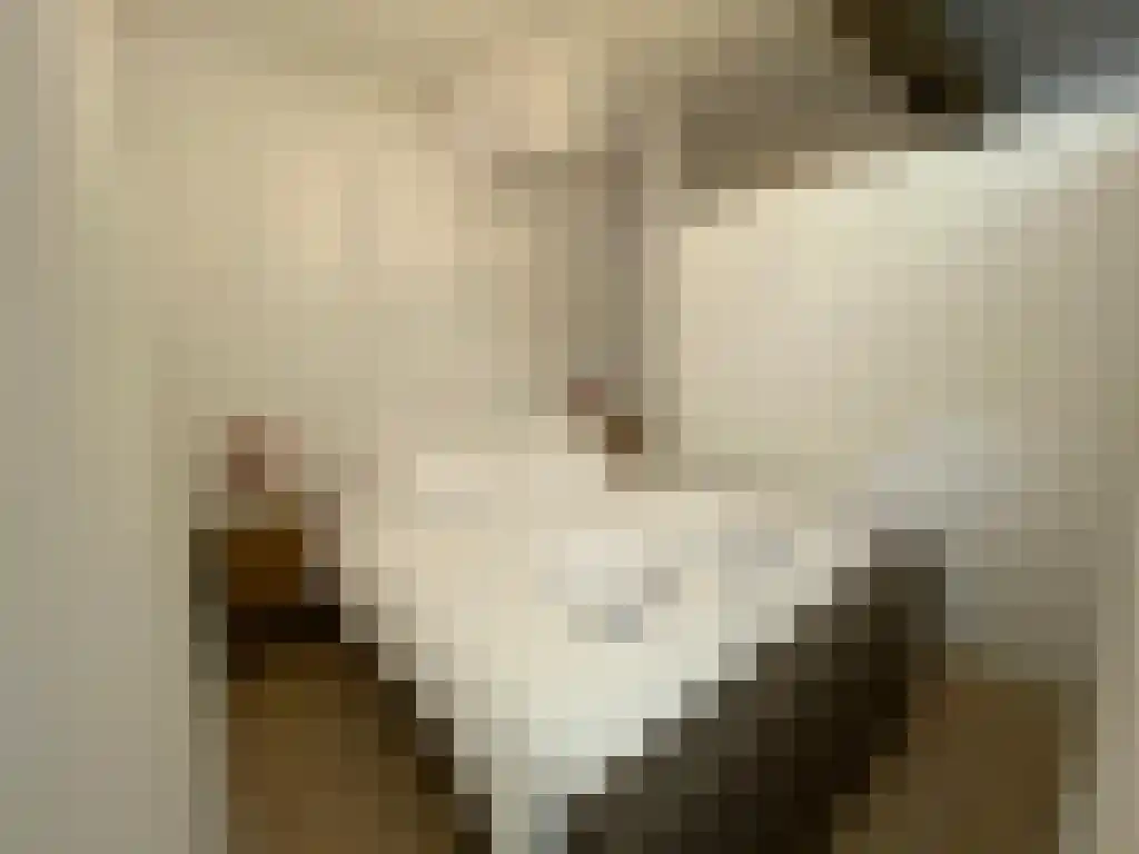 Abdijlaan 76 A Uden thumbnail 4