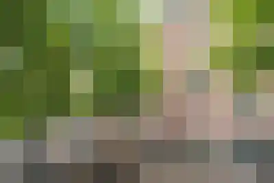 Abdijlaan 76 Uden thumbnail 42