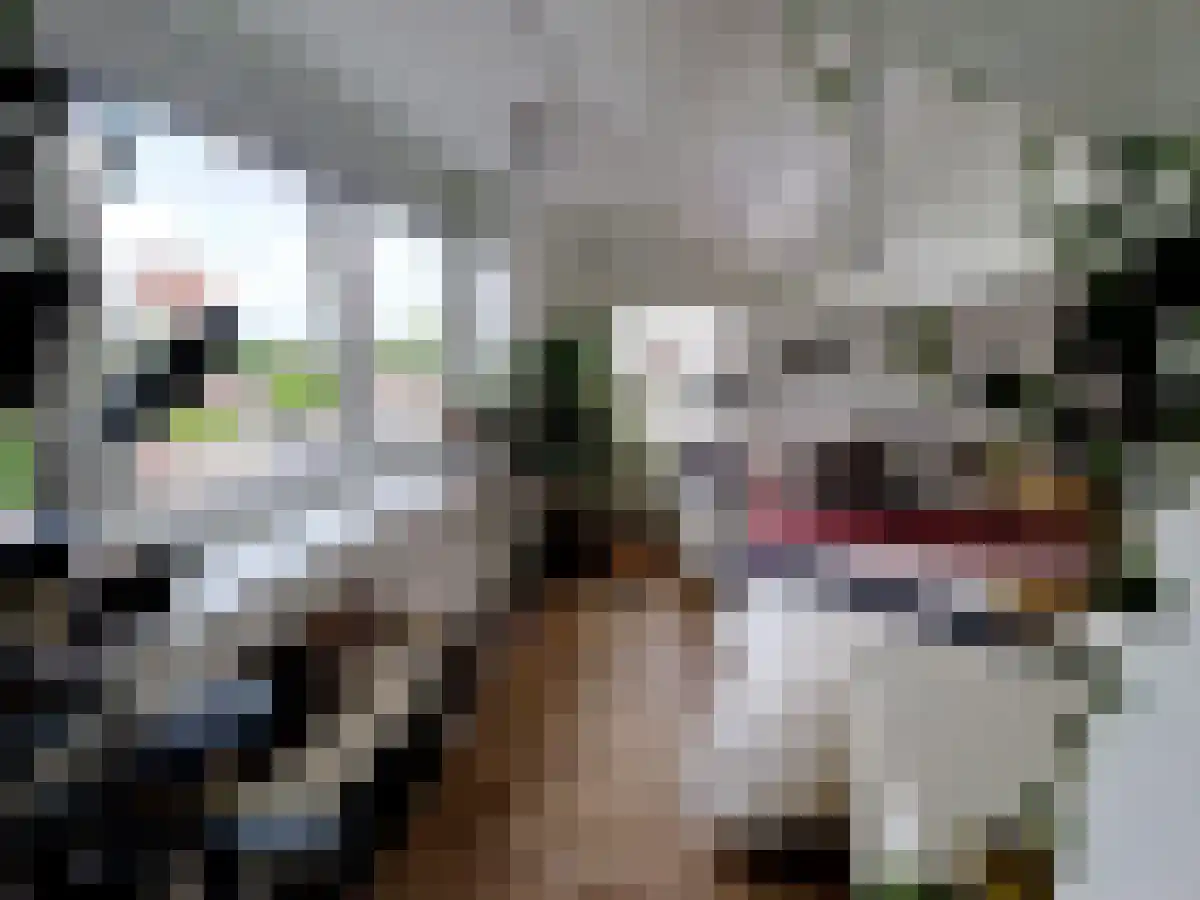 Abdijlaan 76 Uden thumbnail 5