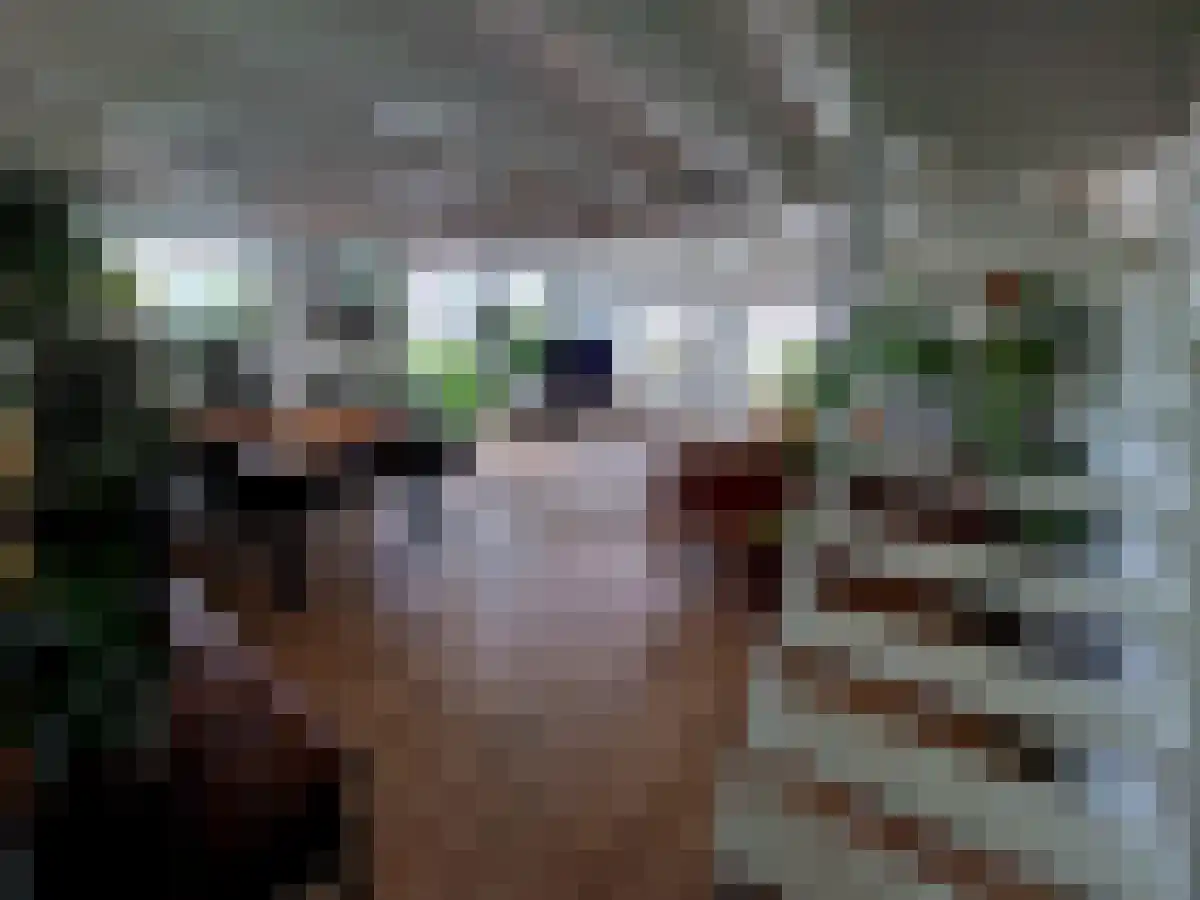 Abdijlaan 76 Uden thumbnail 6