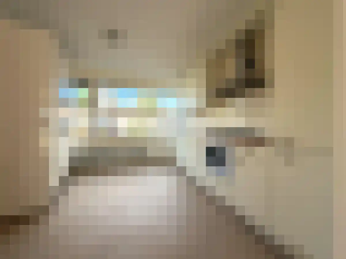 Abdijlaan 77 Uden thumbnail 4