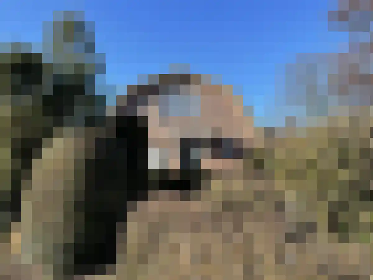Abdijlaan 78 Uden thumbnail 4