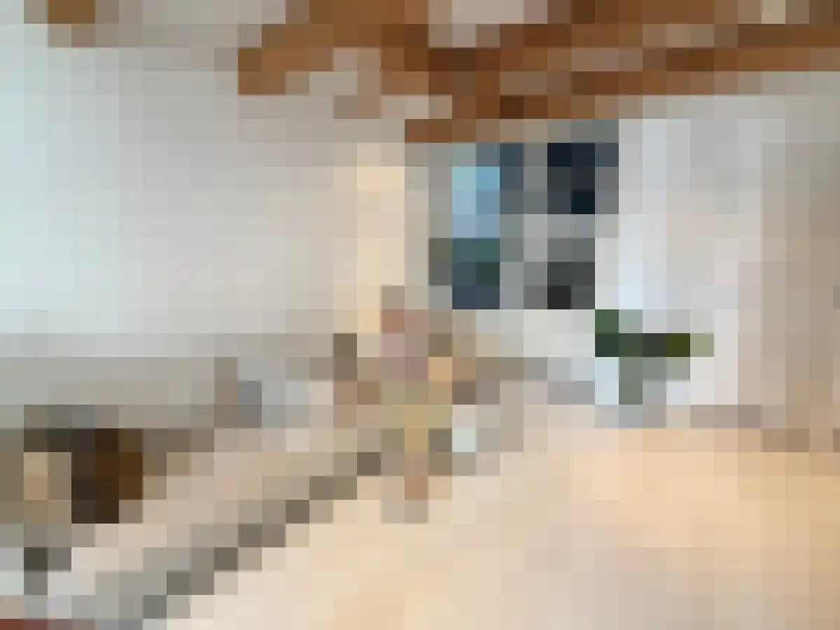 Abdijlaan 78 Uden thumbnail 4