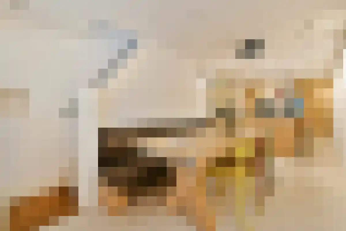 Abdijlaan 79 Uden foto 3