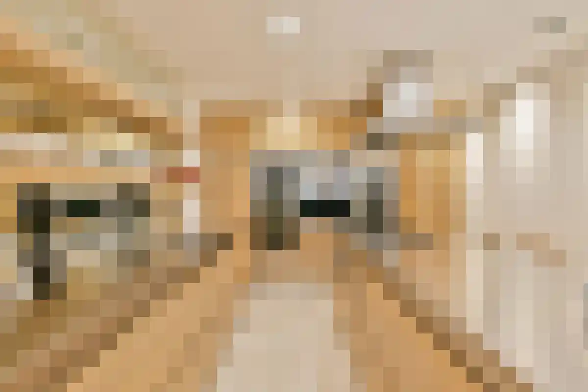 Abdijlaan 79 Uden thumbnail 5