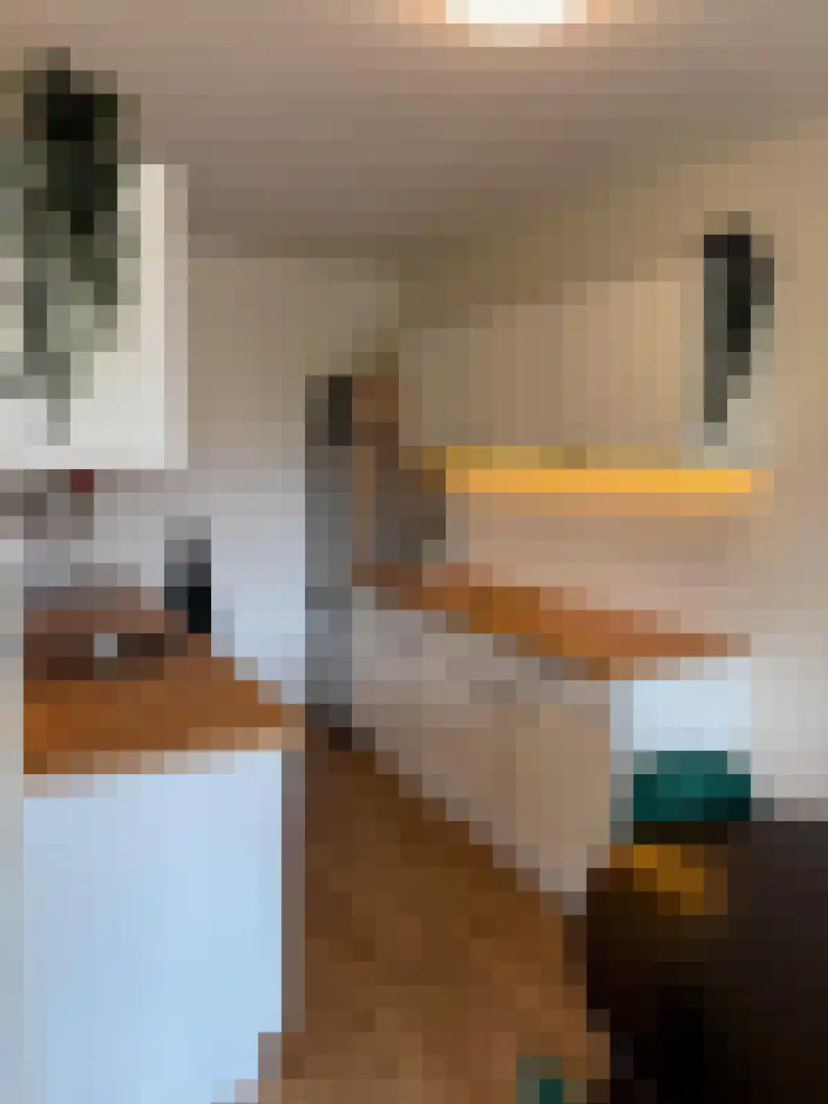 Abdijlaan 79 Uden thumbnail 6