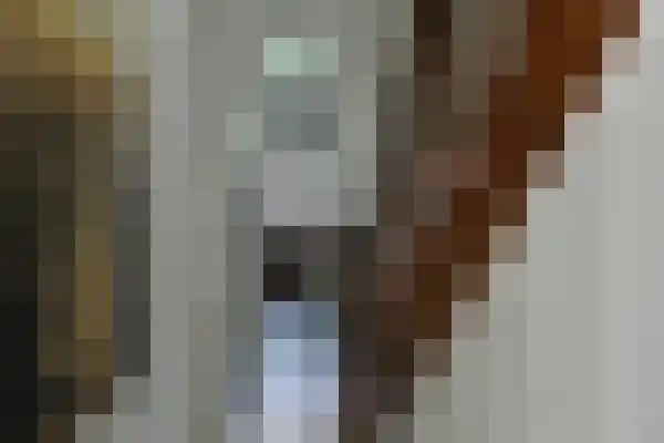 Abdijlaan 8 4 Uden thumbnail 6