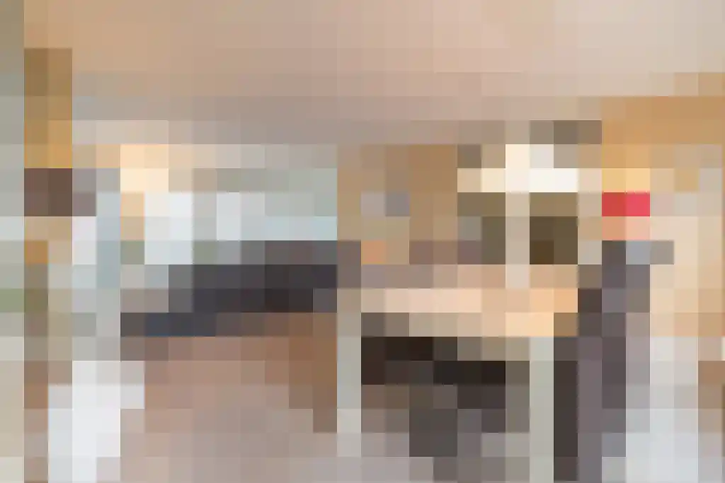 Abdijlaan 8 D Uden foto 2