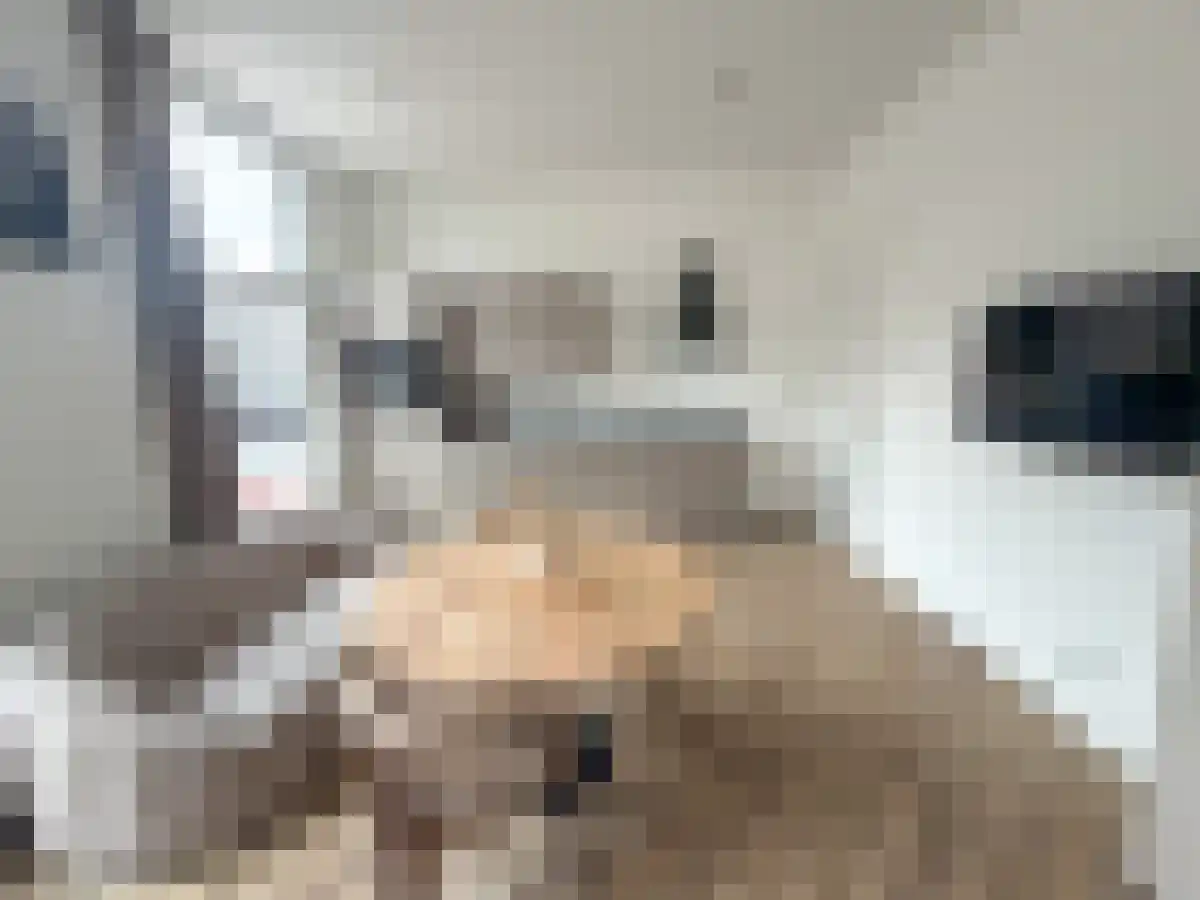 Abdijlaan 8 Uden foto 2