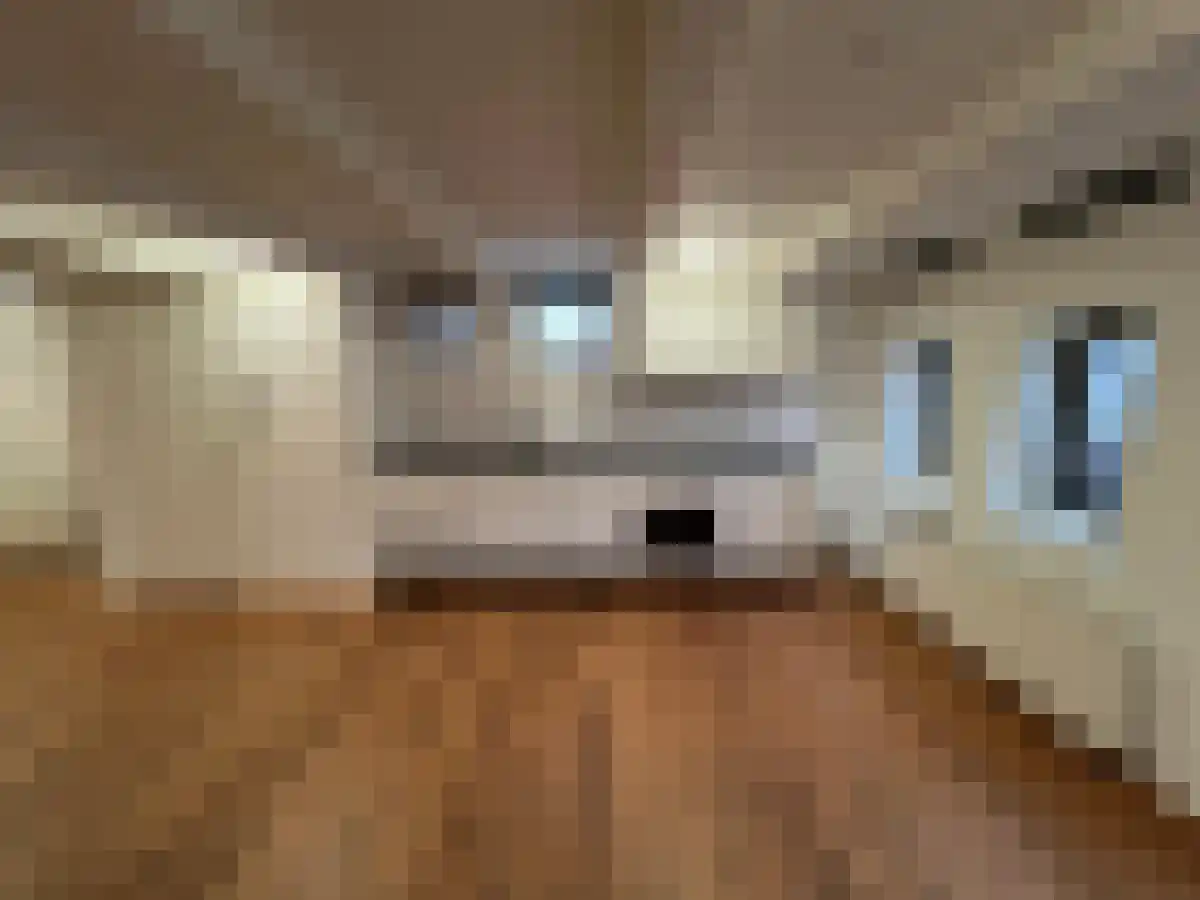 Abdijlaan 8 Uden thumbnail 4