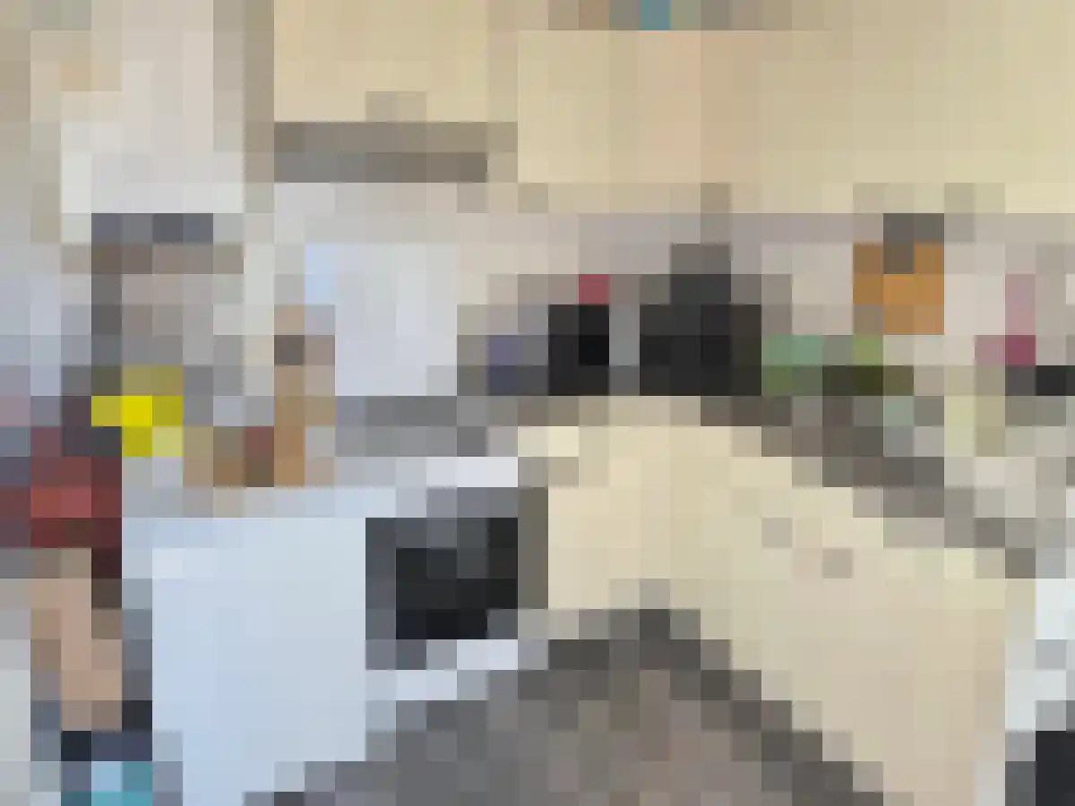 Abdijlaan 8 Uden thumbnail 4