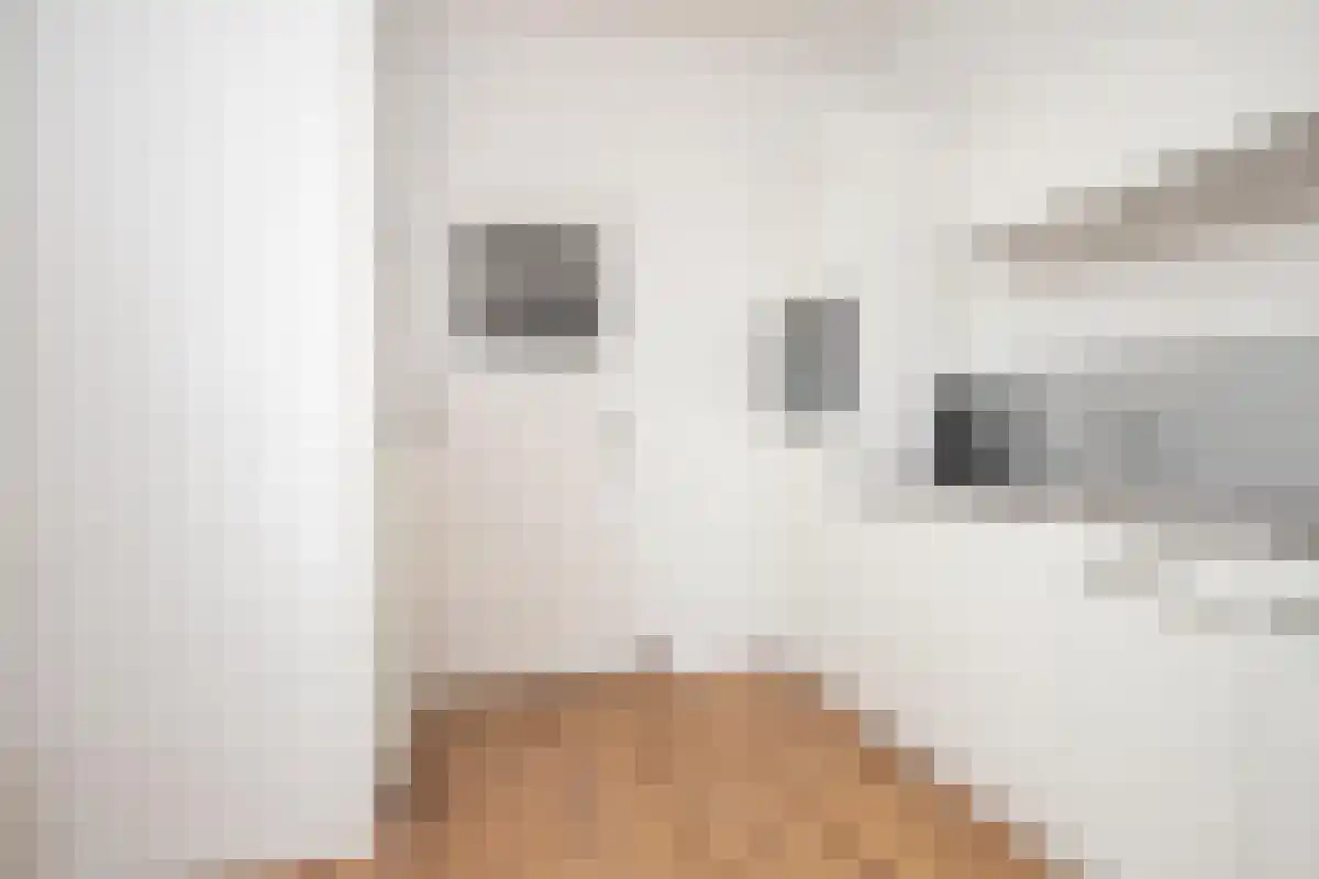 Abdijlaan 8 Uden thumbnail 5