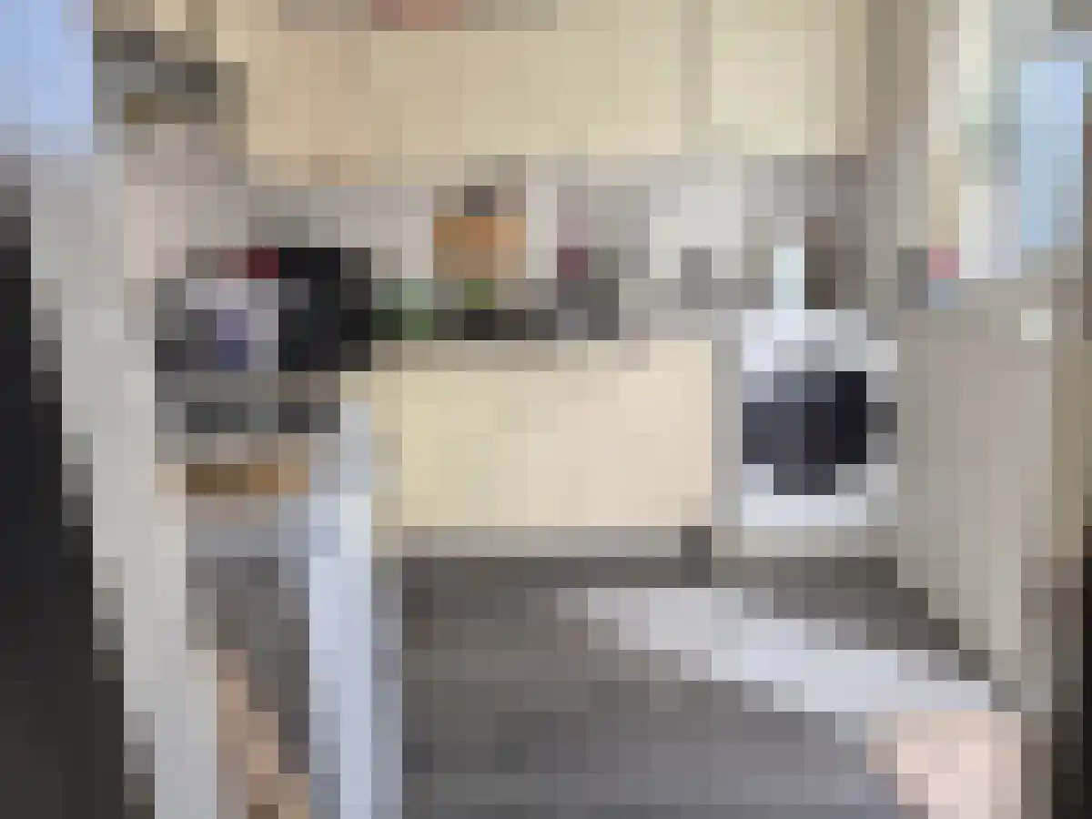 Abdijlaan 8 Uden thumbnail 5