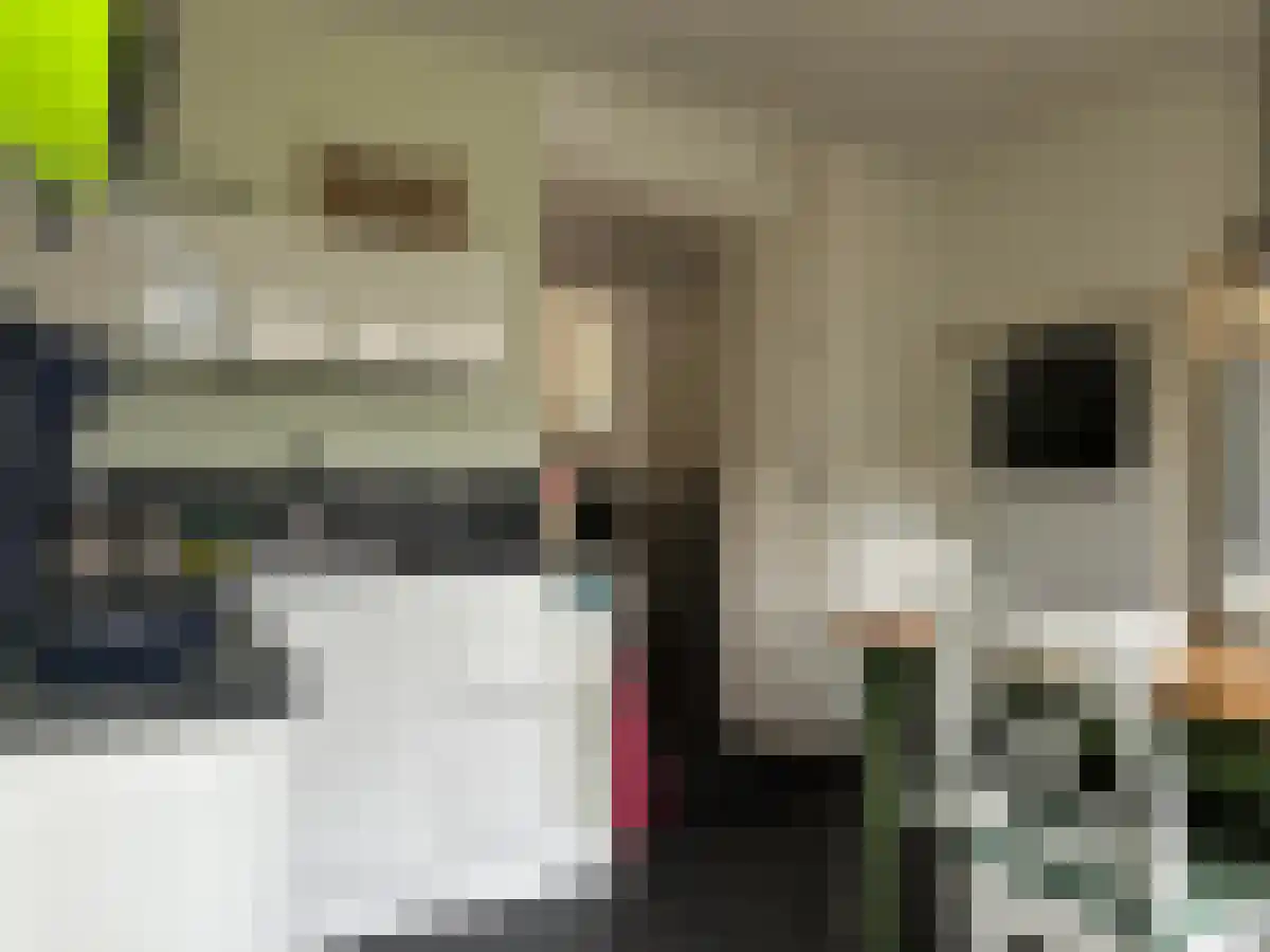 Abdijlaan 8 Uden thumbnail 6