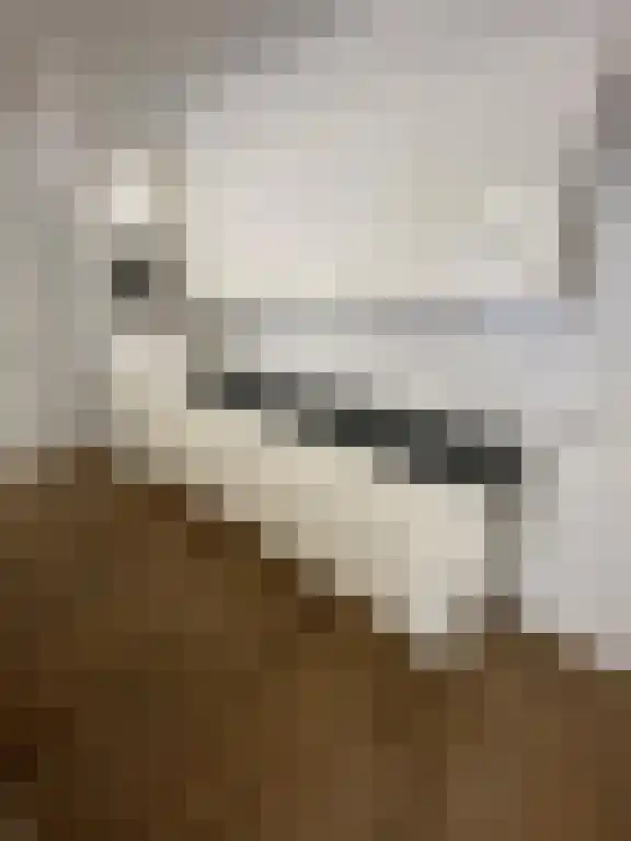 Abdijlaan 80 Uden thumbnail 5