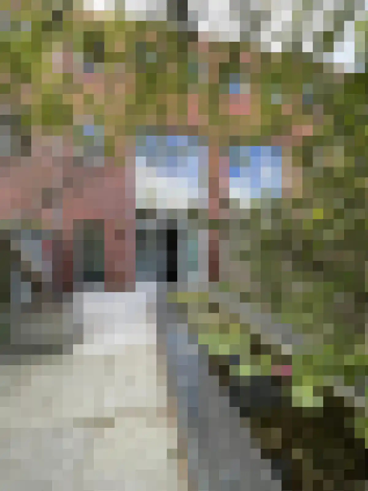 Abdijlaan 80 Uden thumbnail 6
