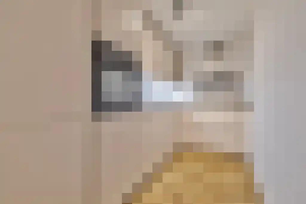 Abdijlaan 804 Uden thumbnail 5
