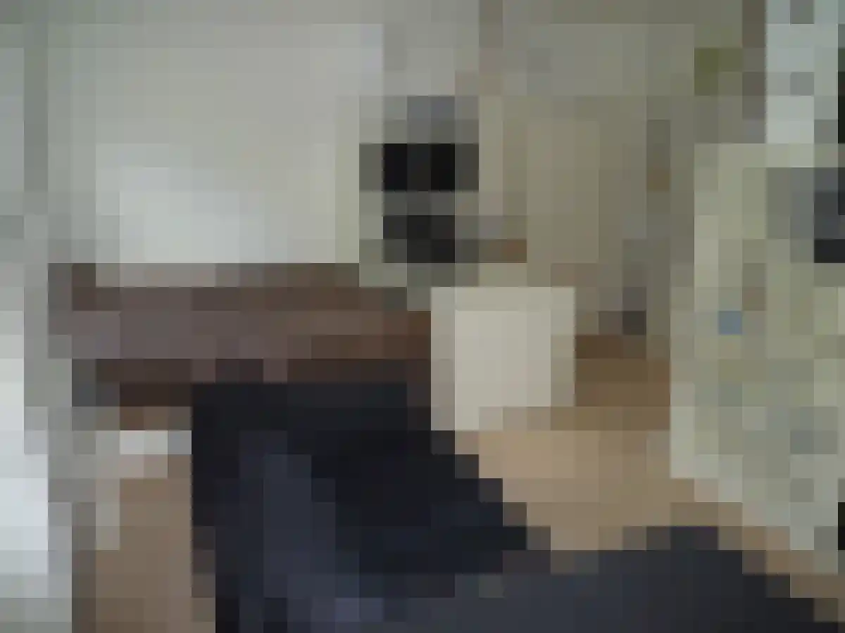 Abdijlaan 81 Uden thumbnail 4