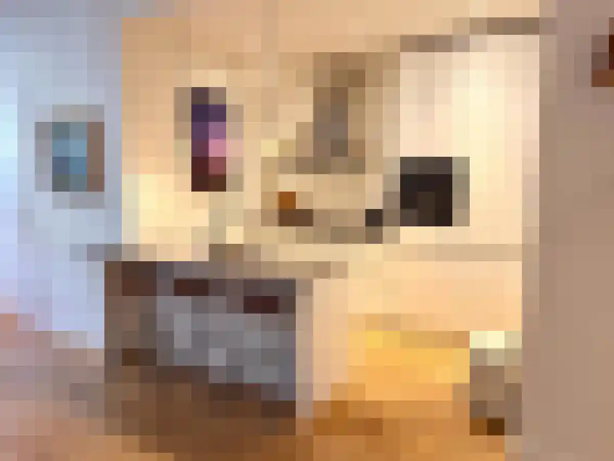 Abdijlaan 81 Uden thumbnail 5