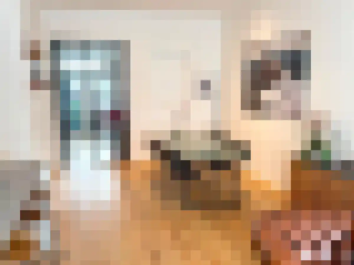 Abdijlaan 81 Uden thumbnail 6