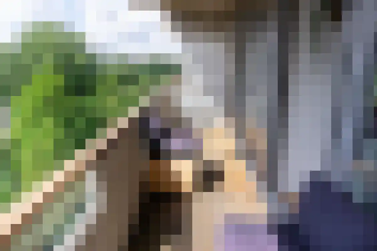 Abdijlaan 829 Uden thumbnail 6