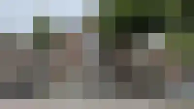 Abdijlaan 83 Uden thumbnail 49