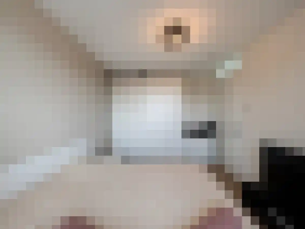 Abdijlaan 84 Uden thumbnail 4